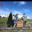 Активисты «Севпарков» озеленили античную усадьбу №25 - Crimea-news.com