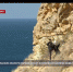 Севастопольские экологи провели субботник на мысе Фиолент - Crimea-news.com