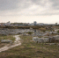 «Ночь искусств-2020»: что готовит Херсонес - Crimea-news.com