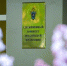 СК проверяет сведения о предоставлении сироте непригодной для жилья квартиры в Симферополе - Crimea-news.com