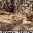 Смотровая площадка в Алупке оказалась за забором - Crimea-news.com