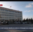 Полностью уничтожена хвойная аллея на площади Восставших - Crimea-news.com