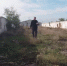 7 дней. Авдеев - Crimea-news.com