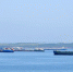 Названы причины загрязнения моря у берегов Керчи и Ялты - Crimea-news.com