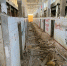 http://img.c-inform.info/f/f/20201112_170302.jpg - КрымИнформ