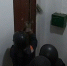 Коммунальщики взяли штурмом квартиру в Севастополе, чтобы подключить отопление - Crimea-news.com