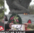 В Красноперекопском районе героев перезахоронили с воинскими почестями - Crimea-news.com