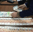 Следователи нашли доказательства причастности бывших полицейских из Ялты к ОПГ - Crimea-news.com