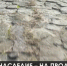 Брусчатку с территории Херсонеса пустят с молотка? - Crimea-news.com