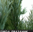 Севастополь готовится встречать 2021 год - Crimea-news.com