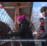 В зубровом заповеднике на Алтае начался туристический сезон - Crimea-news.com