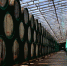 В Крыму продадут винзавод "Коктебель" - Crimea-news.com