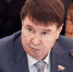 Крымская молодёжь понимает, к чему приводят незаконные митинги, — Цеков - Crimea-news.com