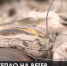 В Керчи голые теплотрассы обогревают воздух на улицах - Crimea-news.com