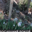 Где могила Мурочки Чуковской? - Crimea-news.com