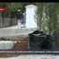Под Севастополем в посёлке Сахарная Головка высадили аллею кипарисов и сосен - Crimea-news.com