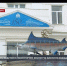 Разгадать тайны Чёрного моря: какие работы ведутся в лабораториях ИнБЮМа - Crimea-news.com