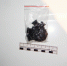 DSCN0606 - МВД по Республике Крым