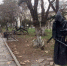 ​Итоги опроса жителей по благоустройству территорий - Администрация города Симферополя
