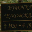 В Крыму установили истинное местонахождение могилы дочери Корнея Чуковского - Crimea-news.com