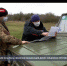 Внимание, бешенство: в Севастополе началась сезонная вакцинация диких хищников - Crimea-news.com