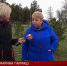 Лесополосы Крыма давно нуждаются в обновлении - Crimea-news.com