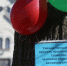 1 - Симферопольская и Крымская епархия