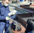 Ялтинка задержана по подозрению в посредничестве во взяточничестве при решении земельного вопросы - Crimea-news.com