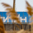 Экс-директор филиала «Титановых инвестиций» получил 14 гражданских исков - КрымИнформ