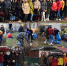 Всероссийская акция "Час Земли" - Администрация города Симферополя