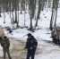 В Белогорском районе из-за гололеда чуть не сорвался с крутого склона автомобиль - Crimea-news.com