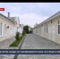 В Севастополе за сутки коронавирусом заболели 37 человек, один умер - Crimea-news.com