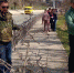 Сегодня, 27 марта состоялся общегородской субботник - Crimea-news.com