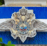 Правоохранители ищут убийцу бездомных собак в Старом Крыму - КрымИнформ