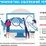 Об инфекционных заболеваниях, передающихся крысами - Роспотребнадзор по Республике Крым