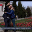 В Севастополе к 9 мая на городских клумбах появятся тысячи цветов - Crimea-news.com