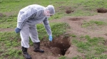 Ветеринарные специалисты ГБУ РК «Нижнегорский районный ВЛПЦ» начали проводить раскладку вакцины для оральной иммунизации диких плотоядных животных против бешенства