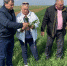 В Республике Крым завершается сев ранних яровых зерновых культур - Минсельхоз Республики Крым
