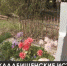 В Симферополе очистят от мусора 18 кладбищ - Crimea-news.com
