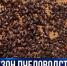 Сезон пчеловодства открыт. Когда ожидать первый сбор меда? - Crimea-news.com