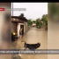 Дворы на улице Декабристов затапливает водой из-за некачественного ремонта дороги - Crimea-news.com
