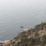 Севастополь получил от Минобороны детский лагерь в Батилимане - Crimea-news.com