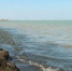 На пляжах в крымском селе Песчаное полно водорослей и нет фонарей - Crimea-news.com