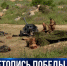 В Севастополе проходит Константиновский военно-морской фестиваль - Crimea-news.com