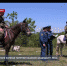 В Севастополе конные патрули казаков защищают леса от пожара - Crimea-news.com