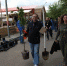 В Крыму посадили 350 новых деревьев - Crimea-news.com