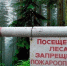 Штoрмoвое предупреждение о высокой пожарной опасности - МЧС России