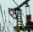 Шесть нефтегазовых скважин прошлого века ликвидируют в Крыму - КрымИнформ