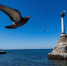 Как изменит жизнь предпринимателей новый бизнес-омбудсмен Севастополя - Crimea-news.com