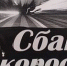 Памятка водителю о соблюдении скоростного режима! - Crimea-news.com